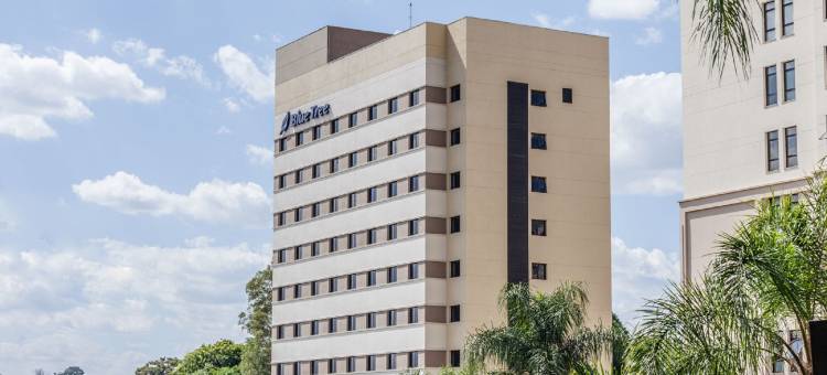 瓦林和斯蓝树酒店(Blue Tree Towers Valinhos)图片