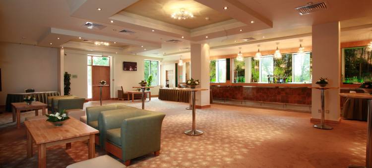 Crowne Plaza 都柏林 - 诺斯伍德(Crowne Plaza Dublin Airport)图片