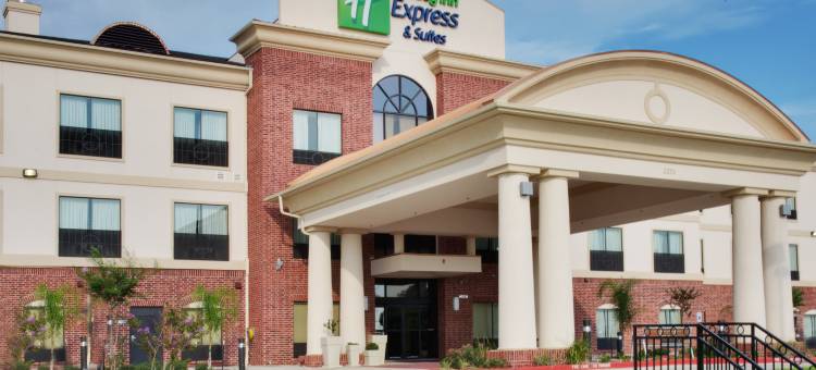 智选假日套房酒店西利 by IHG(Holiday Inn Express & Suites Sealy)图片