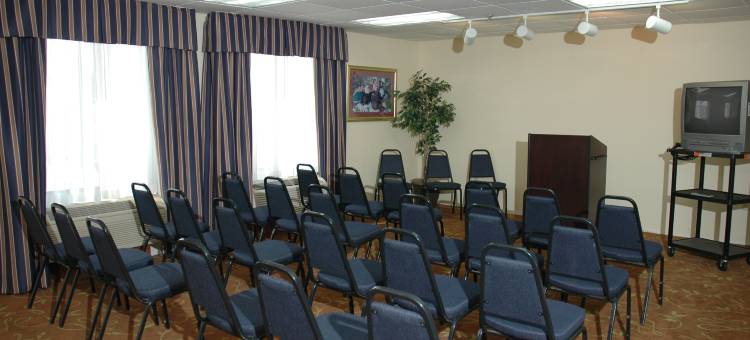格里尔-格林维尔机场舒适套房酒店(Comfort Inn & Suites Greer - Greenville)图片