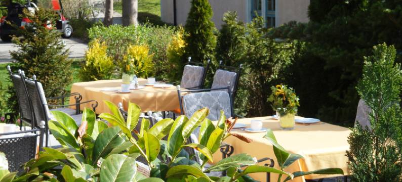 索棱霍夫酒店(Hotel Sonnenhof)图片