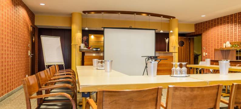 席尔奇阿肯森特酒店(Akzent Hotel Goldner Hirsch)图片