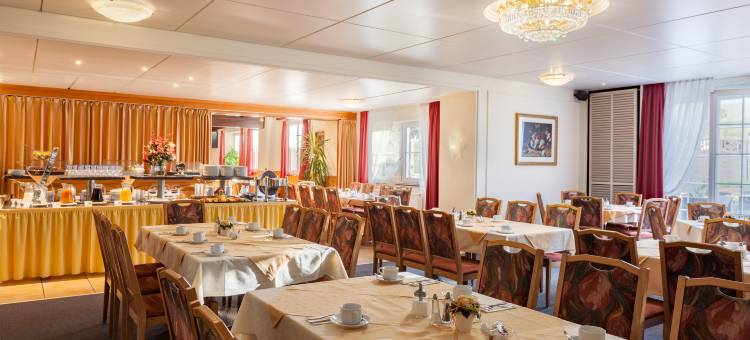 科鲁兹博登湖酒店(Bodensee-Hotel Kreuz)图片