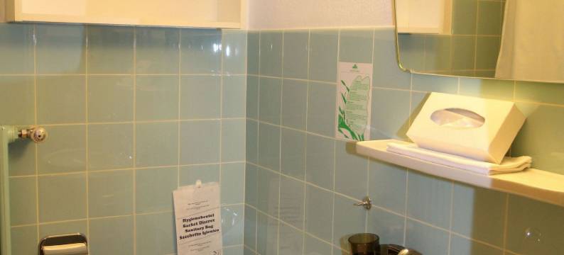 阿尔法策马特酒店(Hotel Alfa Zermatt)图片