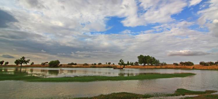 苏亚加尔杰伊瑟尔梅尔酒店(Suryagarh Jaisalmer)图片