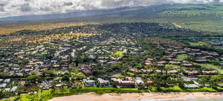 威雷亚棕榈公寓酒店(Palms at Wailea Maui)图片