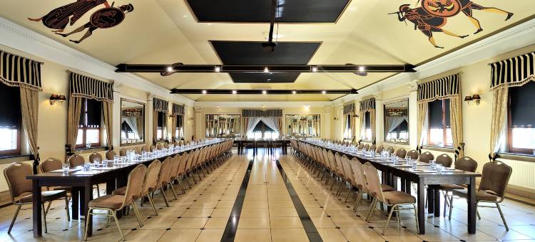 希隆斯克地区谢米亚诺维采瓦坎扎钻石酒店(Hotel Diament Vacanza Katowice - Siemianowice)图片