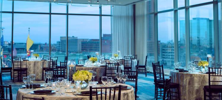 巴尔的摩哈勃尔普勒斯万丽酒店(Renaissance Baltimore Harborplace Hotel)图片