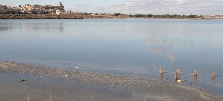 滨海福士原创城市蔚蓝酒店(The Originals City, Hôtel Azur, Fos-Sur-Mer)图片
