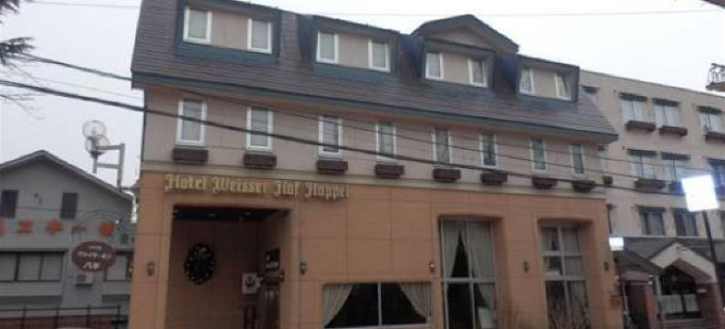 八平韦泽霍夫酒店(Hotel Weisser Hof Happei)图片