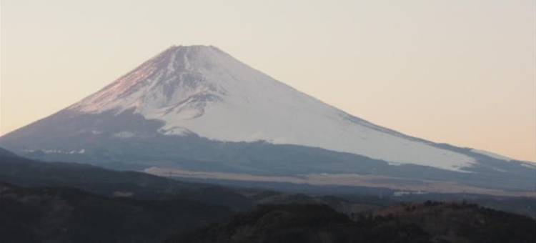 裾野Just One酒店(Hotel Just One Susono)图片