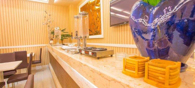 戴恩歌剧院酒店(Dyn Opera Hotel)图片