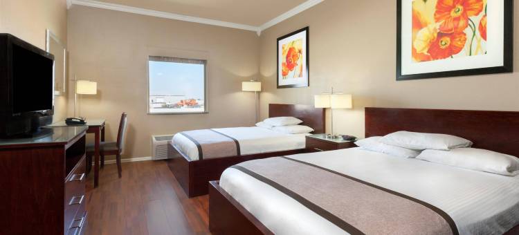 孤星旅馆及套房(Lone Star Inn & Suites)图片