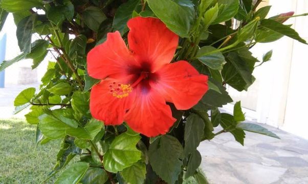 Palladion Hotel Over view