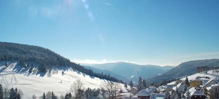 赫里霍夫木屋酒店(Hotel & Chalets Herrihof)图片