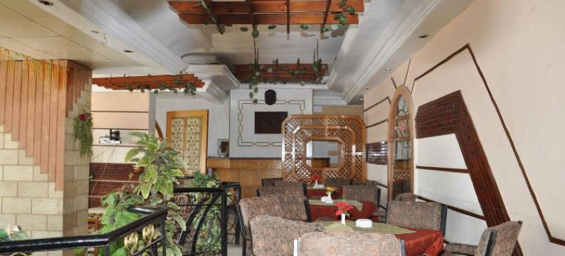 亚历山大丽晶酒店(Regency Hotel Alexandria)图片