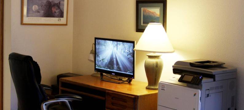 漂流木小屋(The Driftwood Lodge)图片