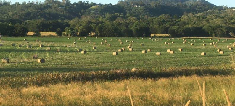 格里德雷家园住宿加早餐旅馆(Gridley Homestead B&B)图片