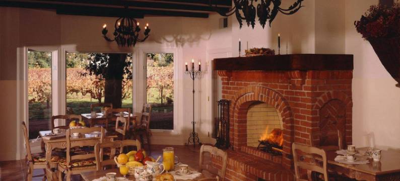 葡萄园江山旅馆(Vineyard Country Inn)图片