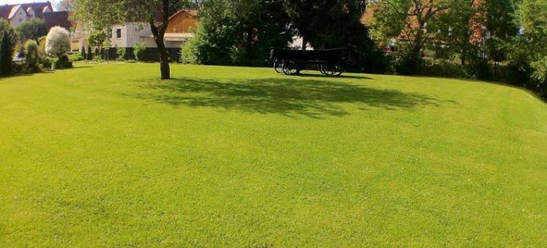 舒伊贝尔乡村酒店(Landgasthof Scheubel)图片