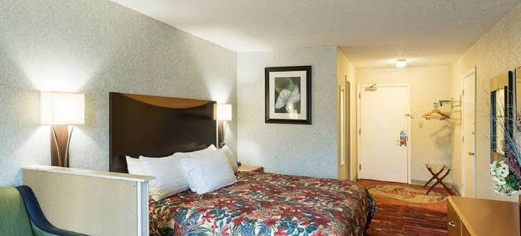 Motel 6 威廉姆斯顿，西弗吉尼亚(Motel 6 Williamstown, WV)图片