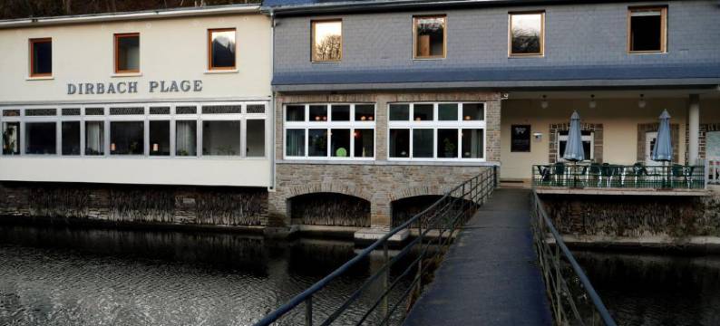 德霸基普雷哥酒店(Hotel Dirbach Plage)图片