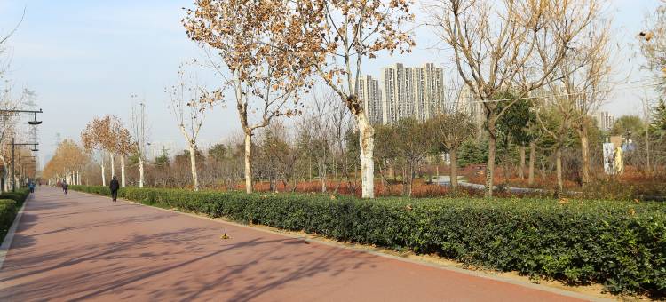 郑州祥和商务酒店图片