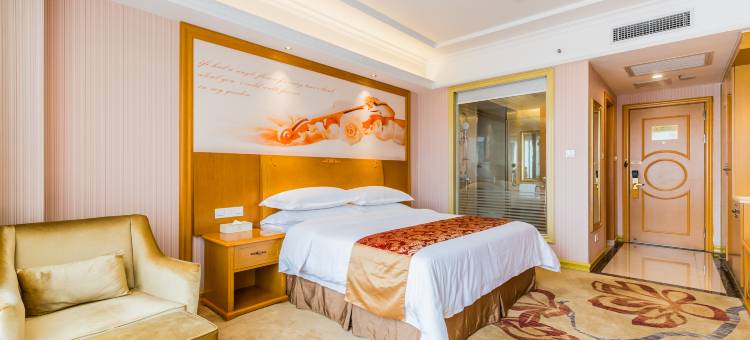 维也纳酒店(佛山乐从家具城罗浮宫店)图片