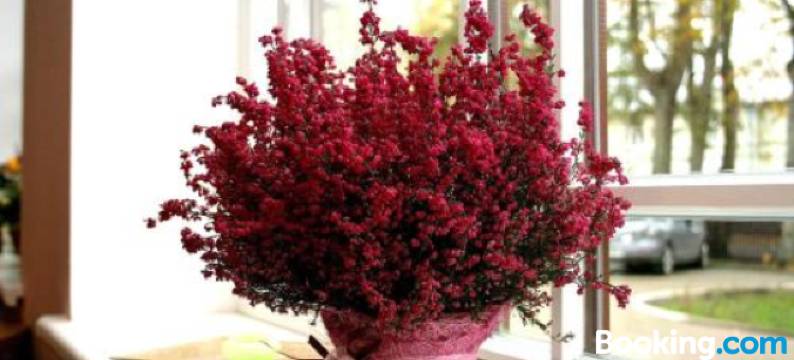 尤拉斯布利兹酒店(Jūras Brīze)图片