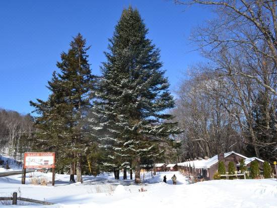 Maple Lodge Cabins Hotel Reviews And Room Rates Trip Com
