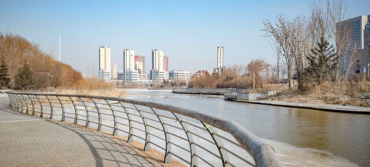 哈尔滨丽呈睿轩酒店(冰雪大世界融创乐园店)图片