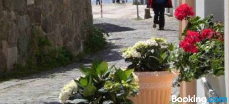 祖尔奥特萨斯尼茨公寓别墅(Apartment Villa Zur Altstadt Sassnitz)图片