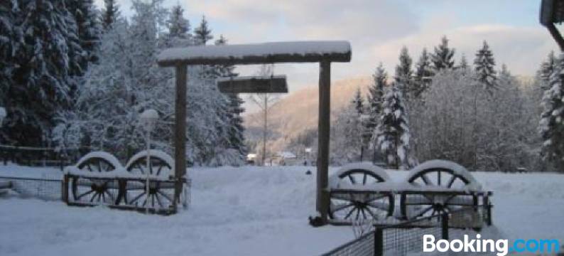 Waldpension Harzer Waldwinkel图片