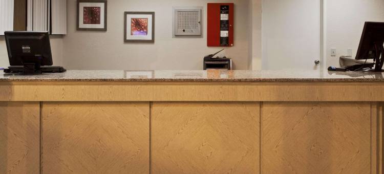 圣彼得克利尔沃特机场拉昆塔温德姆套房酒店(La Quinta Inn & Suites by Wyndham St. Pete-Clearwater Airpt)图片