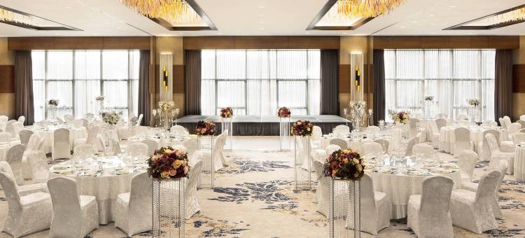 伊斯坦布尔-阿塔瑟希尔喜来登大酒店(Sheraton Grand Istanbul Atasehir)图片