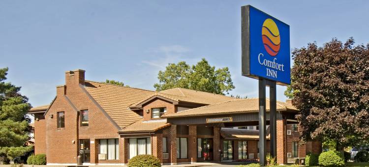 舒适酒店(Comfort Inn)图片