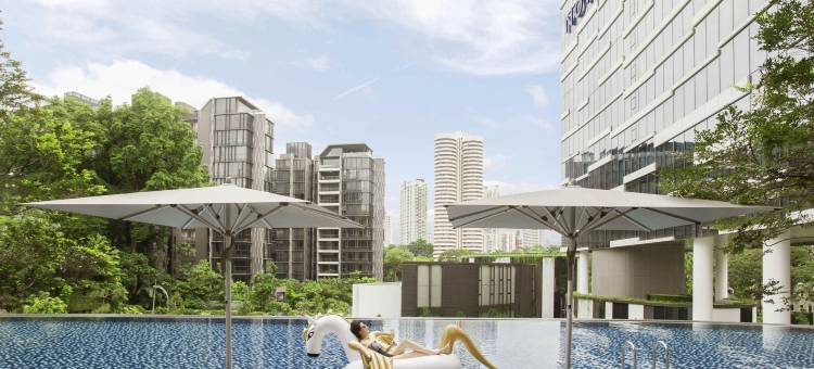 新加坡史蒂芬诺富特酒店(Novotel Singapore on Stevens)图片