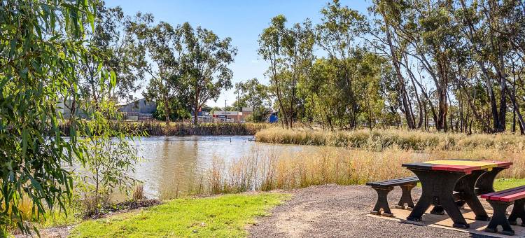 本霍尔汽车旅馆(Ben Hall Motor Inn)图片