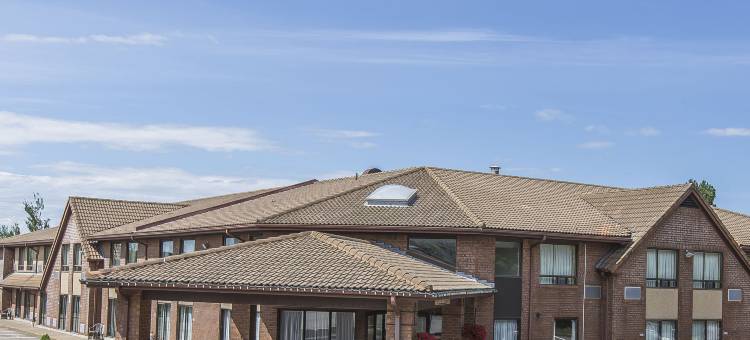 舒适酒店(Comfort Inn)图片