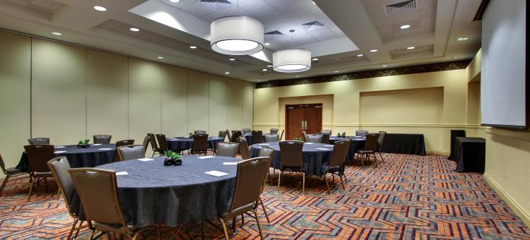 夏洛特-诺斯莱克德鲁里套房酒店(Drury Inn & Suites Charlotte Northlake)图片