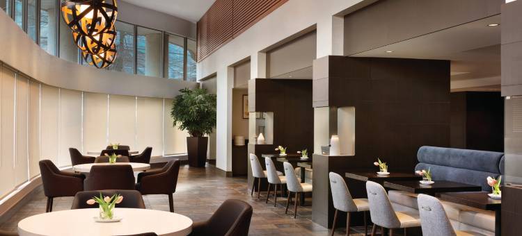 温哥华机场丽笙酒店(Radisson Hotel Vancouver Airport)图片