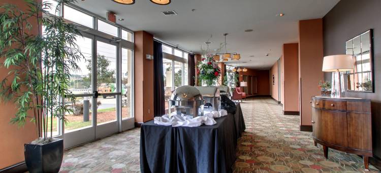 东么利迪恩I 59 / I 20假日酒店(Holiday Inn Meridian E - I 20/I 59)图片