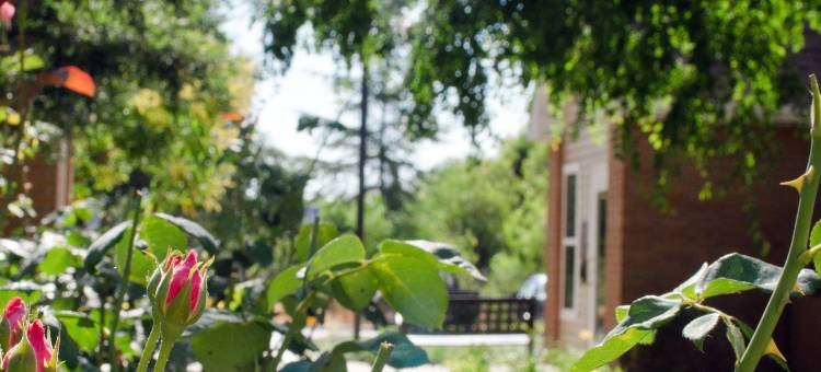 弗雷斯诺Residence Inn 酒店(Sonesta ES Suites Fresno)图片