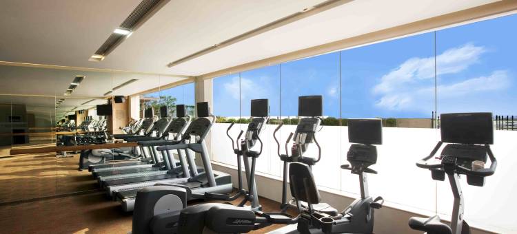 新德里马尤尔维哈尔诺伊达假日酒店(Holiday Inn New Delhi Mayur Vihar Noida)图片