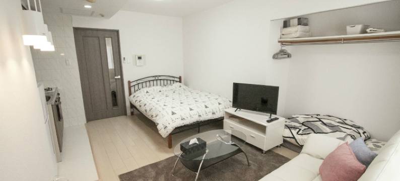 狮子城旅宿-1(Lions City Odori Park)图片