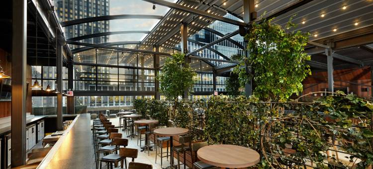 纽约市中心区万丽酒店(Renaissance New York Midtown Hotel)图片