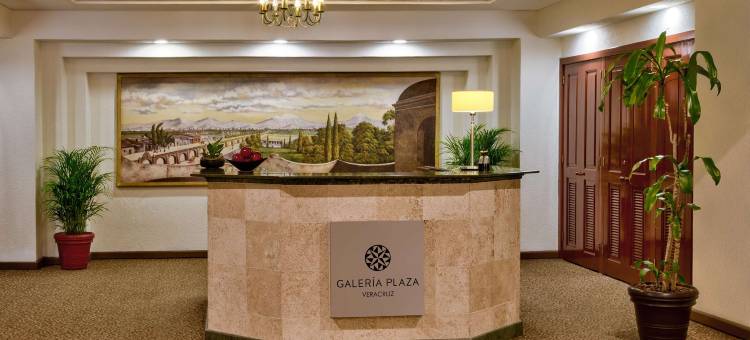 韦拉克鲁斯广场画廊酒店(Hotel Galería Plaza Veracruz)图片