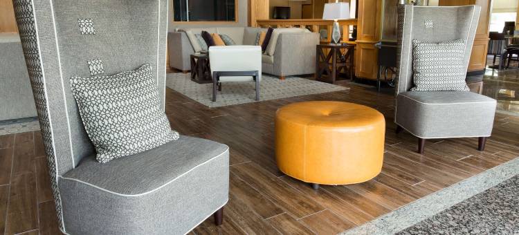 拉斐特德鲁里套房酒店(Drury Inn & Suites Lafayette La)图片