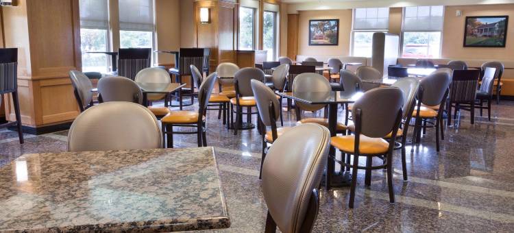 拉斐特德鲁里套房酒店(Drury Inn & Suites Lafayette La)图片