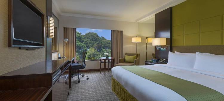 新加坡乌节市中心假日酒店 - IHG 旗下酒店(Holiday Inn Singapore Orchard City Centre)图片